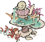 贝壳水泉.png