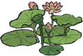 亭亭荷花.png