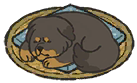 藏獒窝.png