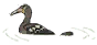 鸬鹚 建筑.png