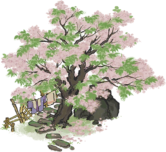 苦楝花树.png