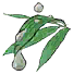 春日雨滴.png