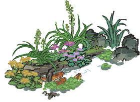 鲤跃清池.png