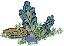 潮影石.png