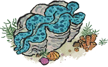 莹蓝砗磲.png