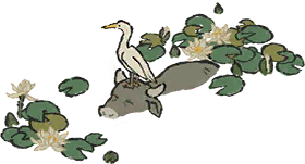 白鹭青荷.png
