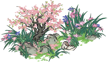 浅水鸢尾.png