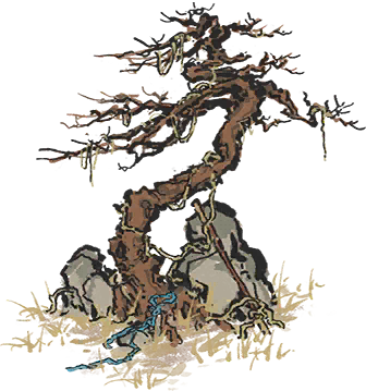 虬枝老树.png