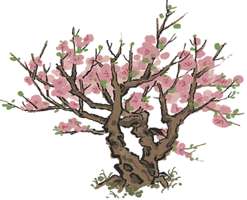 春暖桃花.png