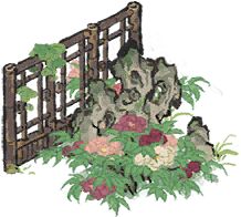 黑石丛牡丹.png