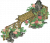 黄牡丹花篱.png