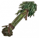 树苗.png