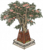 合欢树.png