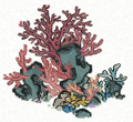 珊瑚丛 紫3.png