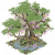 紫藤绕樟.png