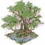 紫藤绕樟.png