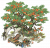 霞染榴花.png