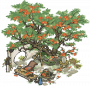 霞染榴花.png