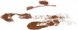 可疑脚印.png