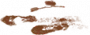 可疑脚印.png