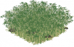 竹林.png