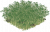 竹林.png