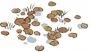 水中落叶.png