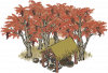 漆树林.png