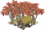 漆树林.png