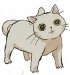 干净小猫.png