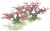桃枝夭夭.png