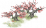 桃枝夭夭.png