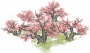 桃林染春.png