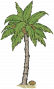落果椰树.png