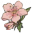 桃花.png