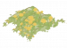 迎春花丛.png