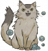 干净美美猫.png