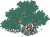 红树.png
