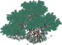 红树.png