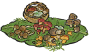 叶上拣菌.png