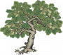梧桐.png