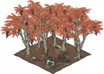 漆树林一级.png