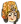 Q头像 贺兰珠.png