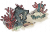 流波珠栏.png
