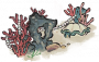 流波珠栏.png