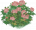 芙蓉花圃.png