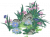 鸢尾花.png