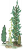 海草3.png