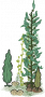 海草3.png
