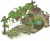 葡萄小景.png